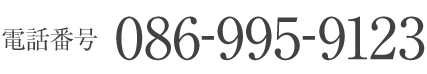 086-995-9123
